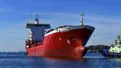 Louise Borchard (Проект Peters 650, Сент-Джонс)