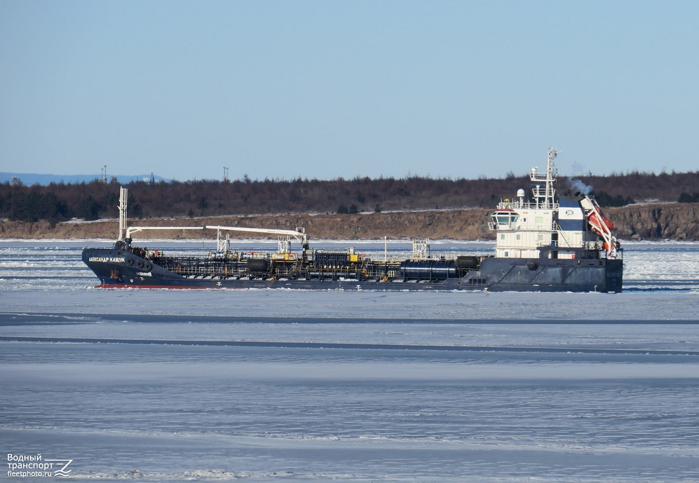 Александр Кащук