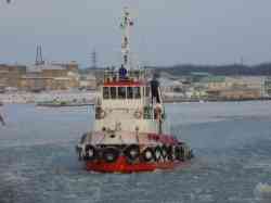 Петроград (Буксиры, толкачи, буксиры-толкачи, Санкт-Петербург)