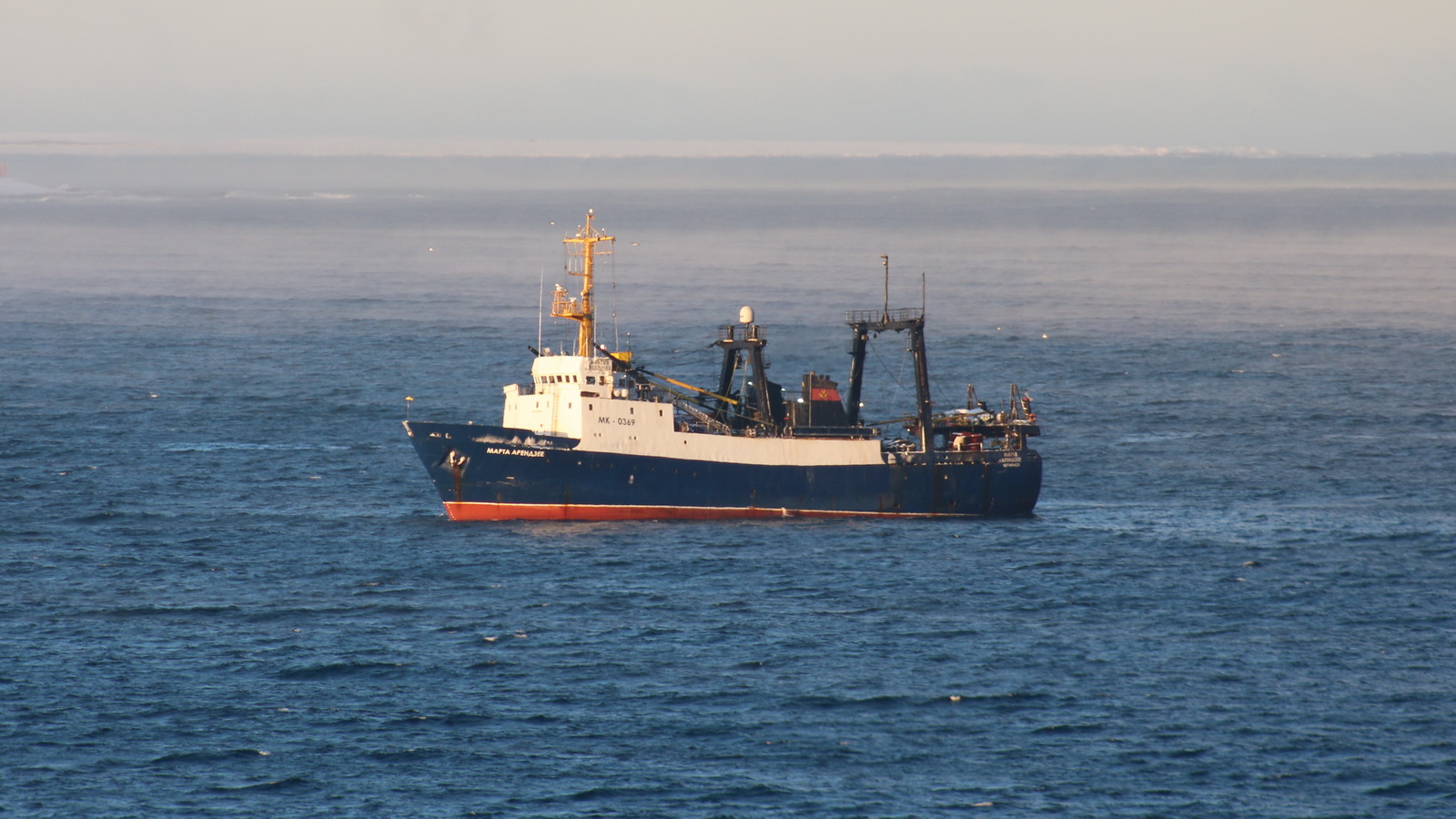 Марта Арендзее