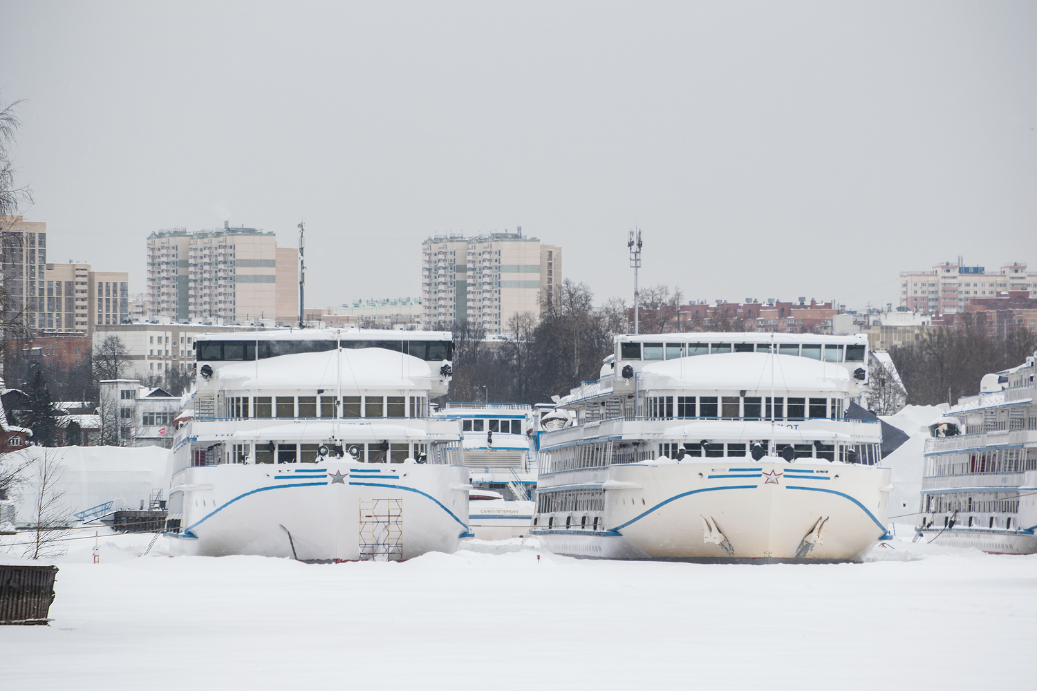 Леонид Красин, Княжна Анастасия
