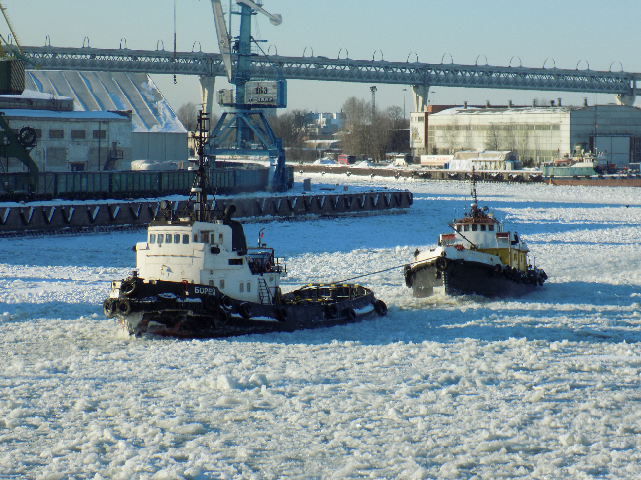 Борей, Скат