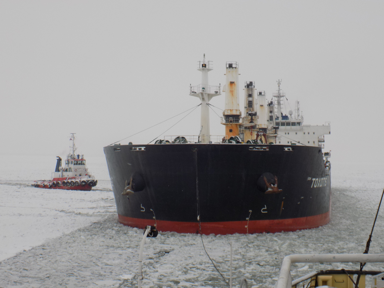 Петроград, Toxotis. Виды из рубок и с ходовых мостиков