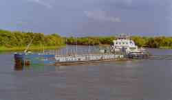 Афина (Проект 2731, 2731.2, 2731.2у, 2731.2ум, 2731.3, 2731.4, 27310, 27311, Москва); Механик Красоткин (Тип ОТ-2000, проект 428.2 (ОТ-2100), Санкт-Петербург)