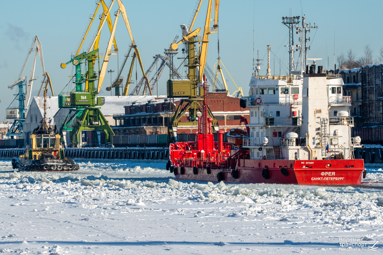 Сестрорецк, Фрея