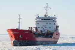 Evrenye (Terkol II, Stolt Lis Terkol design, Saint Petersburg)