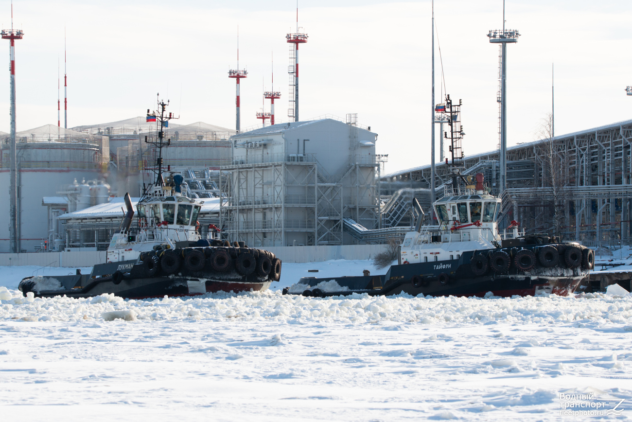 Лукман, Тайфун