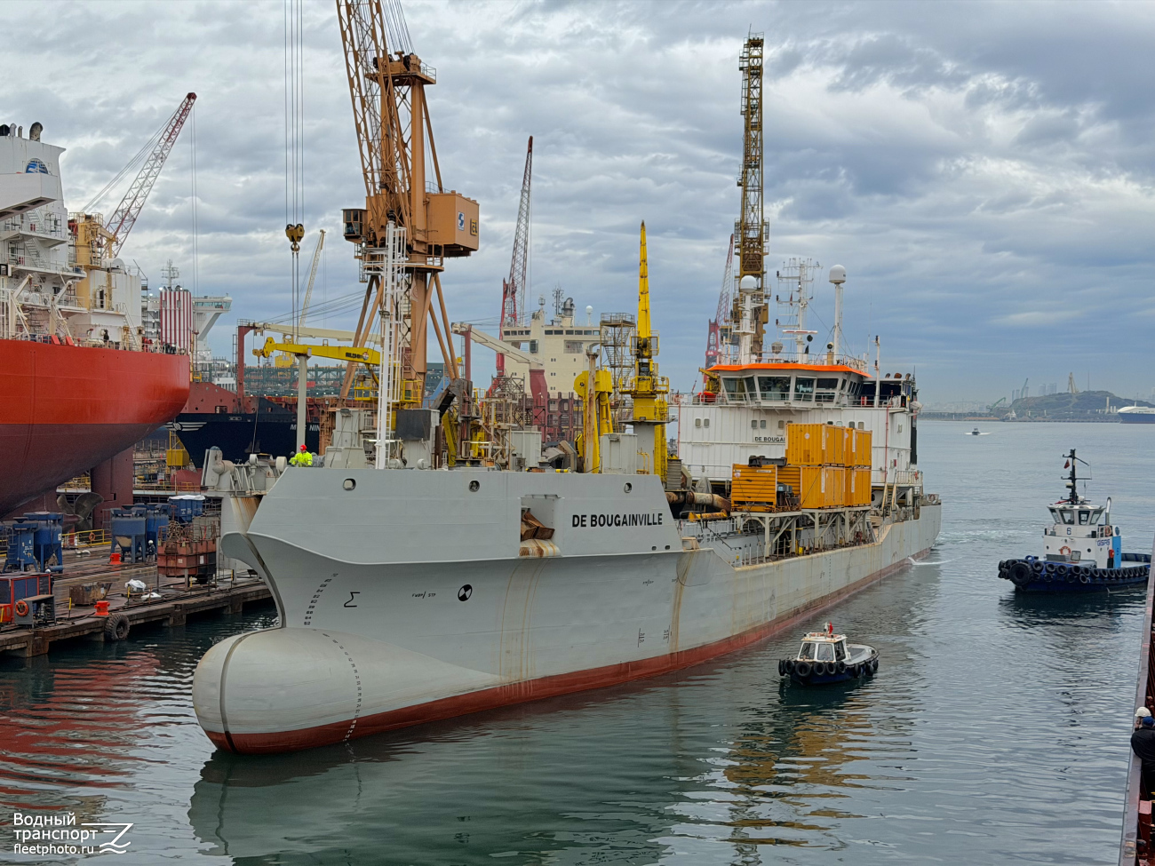 De Bougainville, Gisas VI