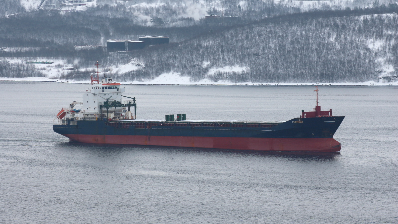 Старгейзер