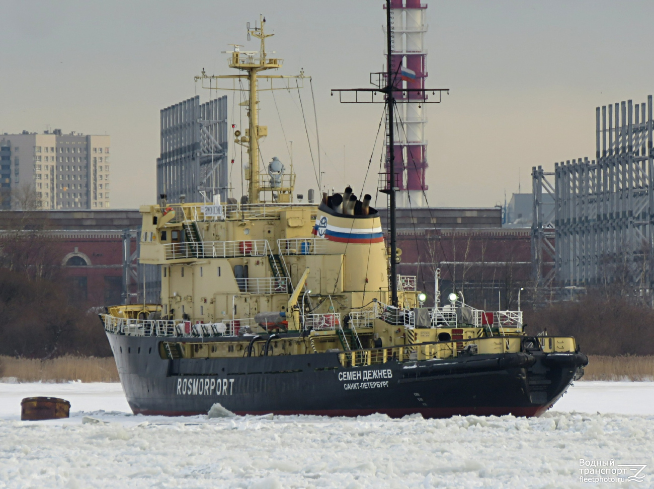 Семён Дежнёв