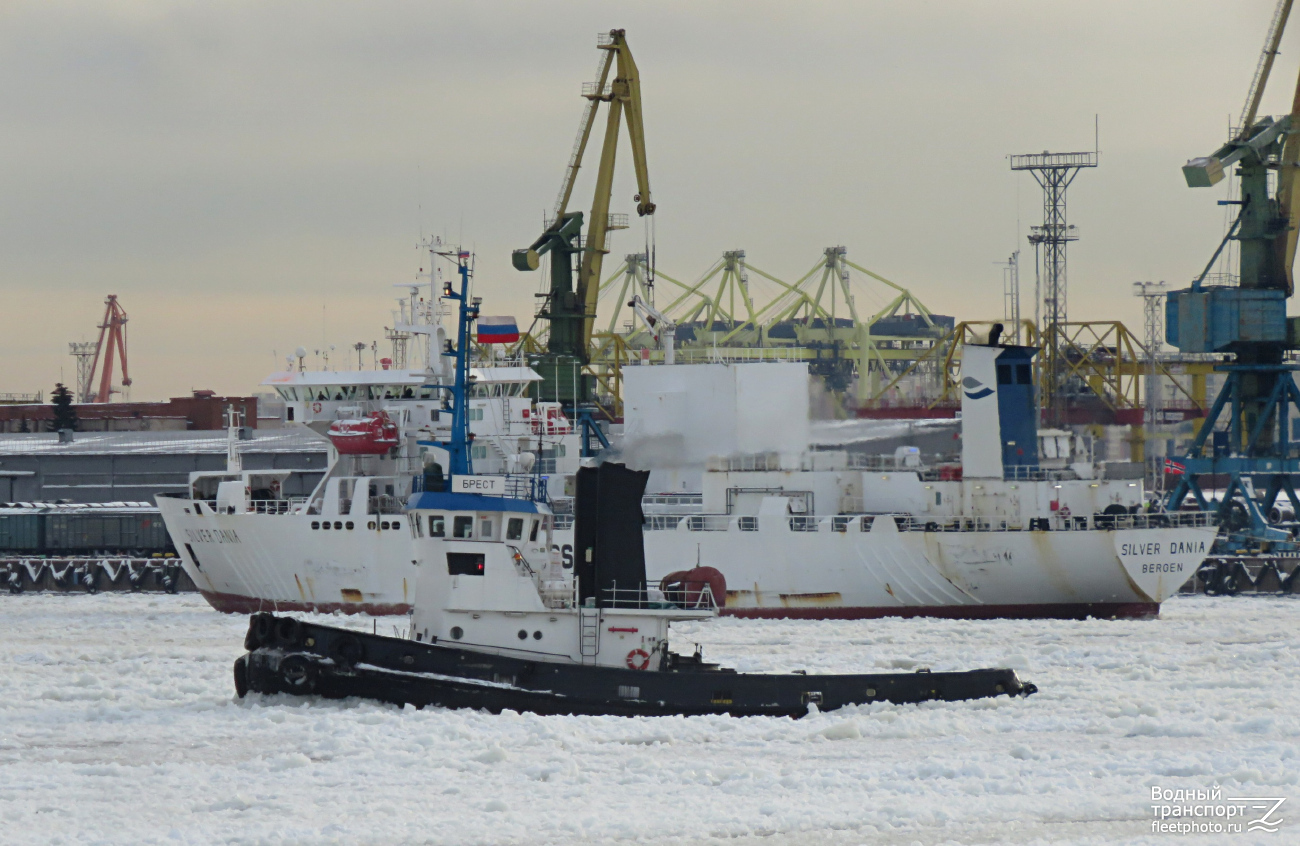 Брест, Silver Dania