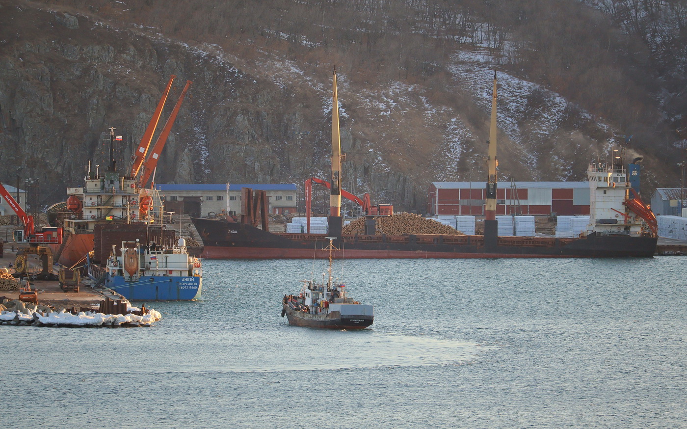 Анюй, Отличительный, Лиза
