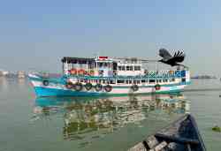 Saptadinga (Местные речные, Калькутта / Колката)