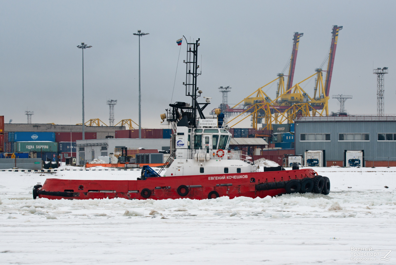 Евгений Кочешков