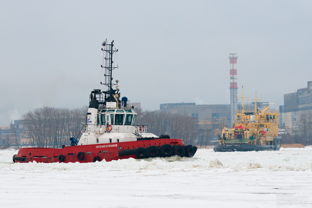 Евгений Кочешков