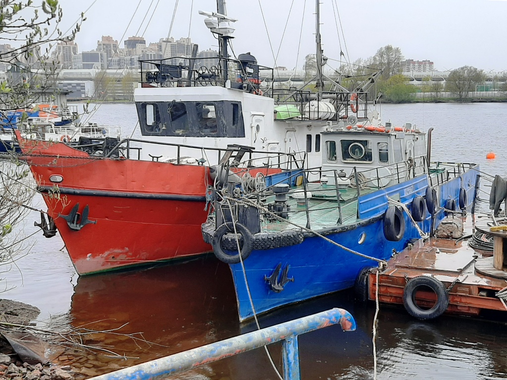 Соболец, Зенит