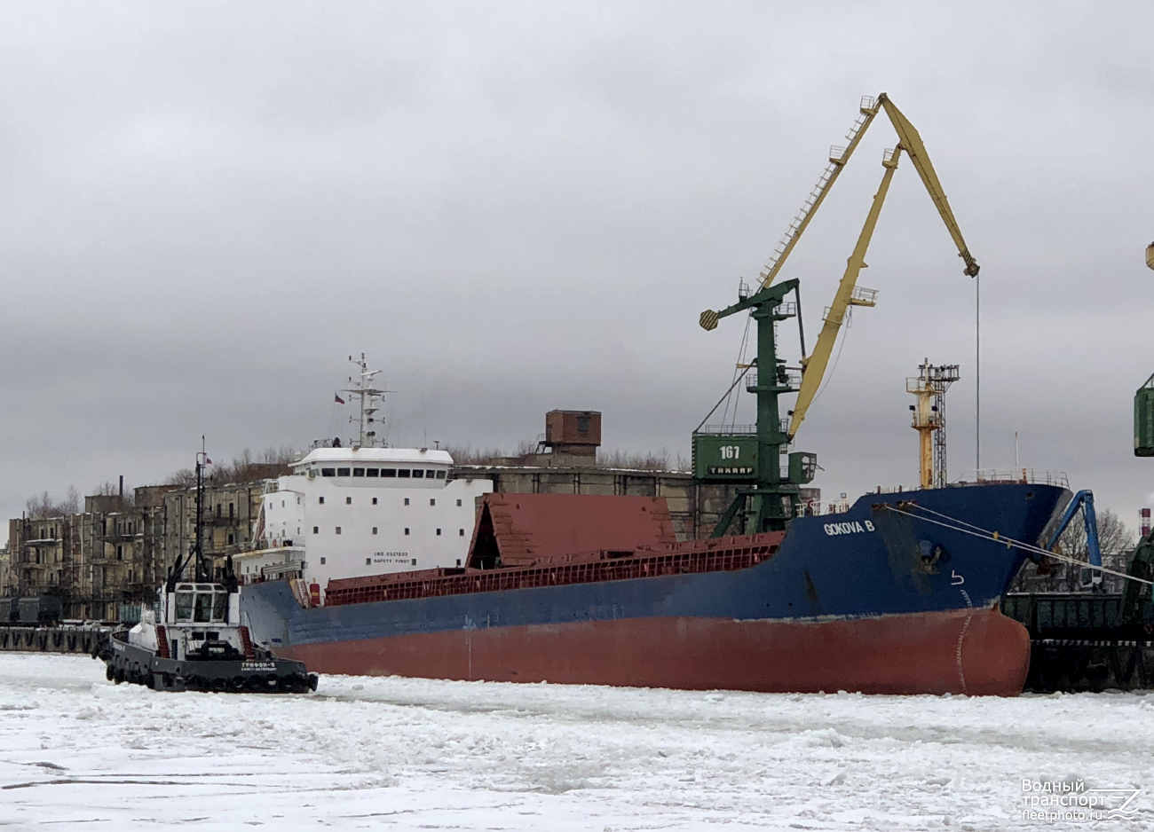 Грифон-5, Gokova B