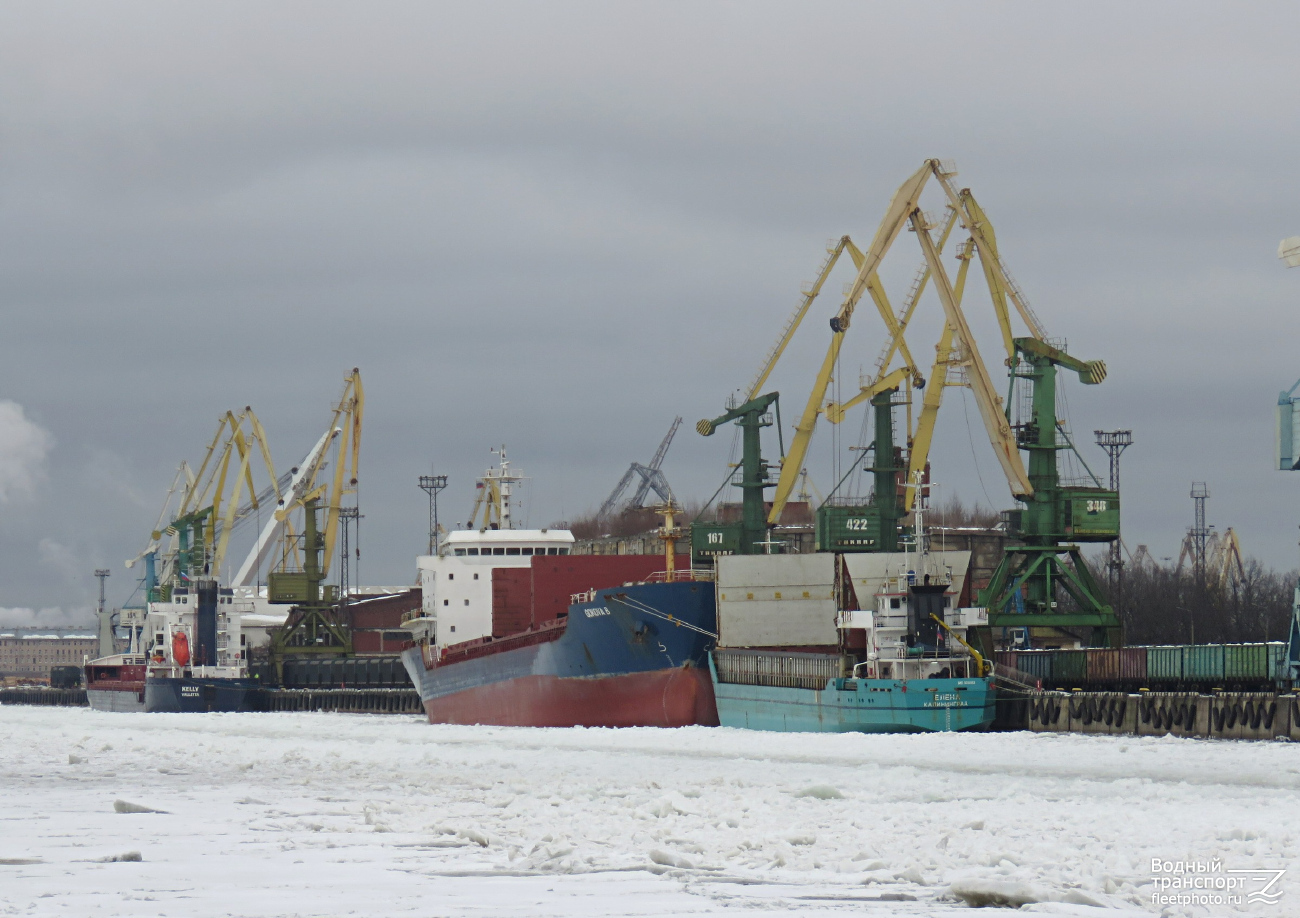 Kelly, Gokova B, Елена