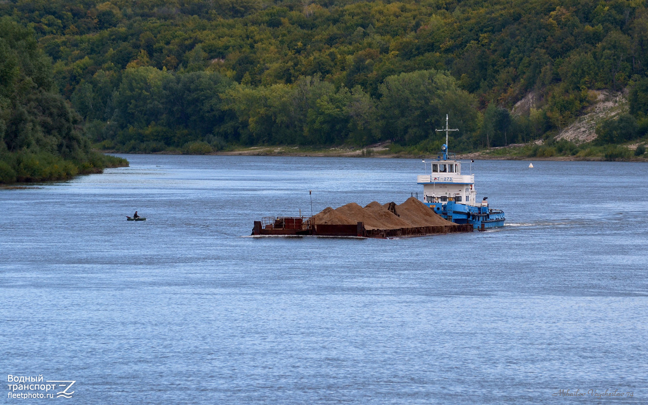 РТ-273. Неопознанные суда