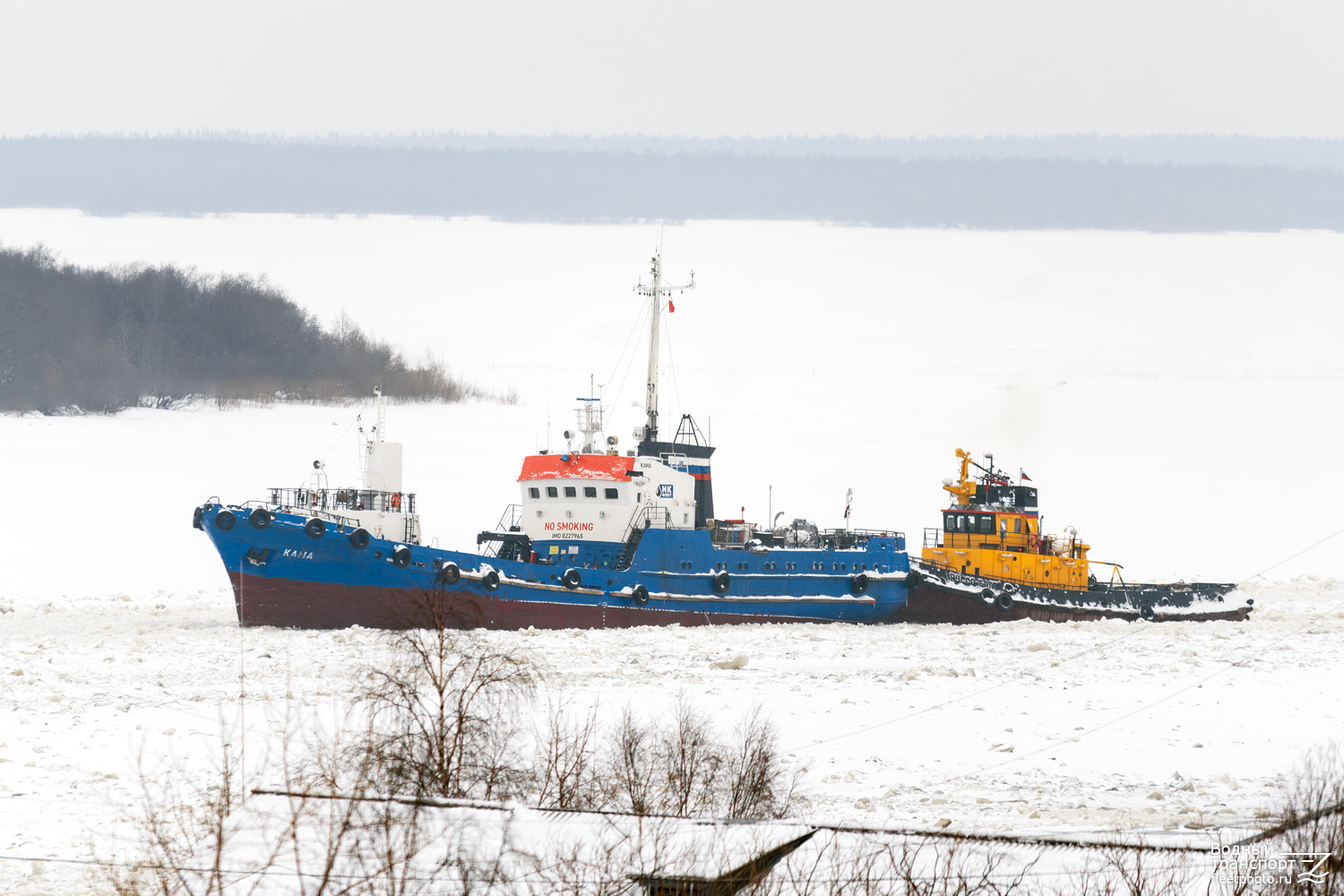 Кама, Бравый