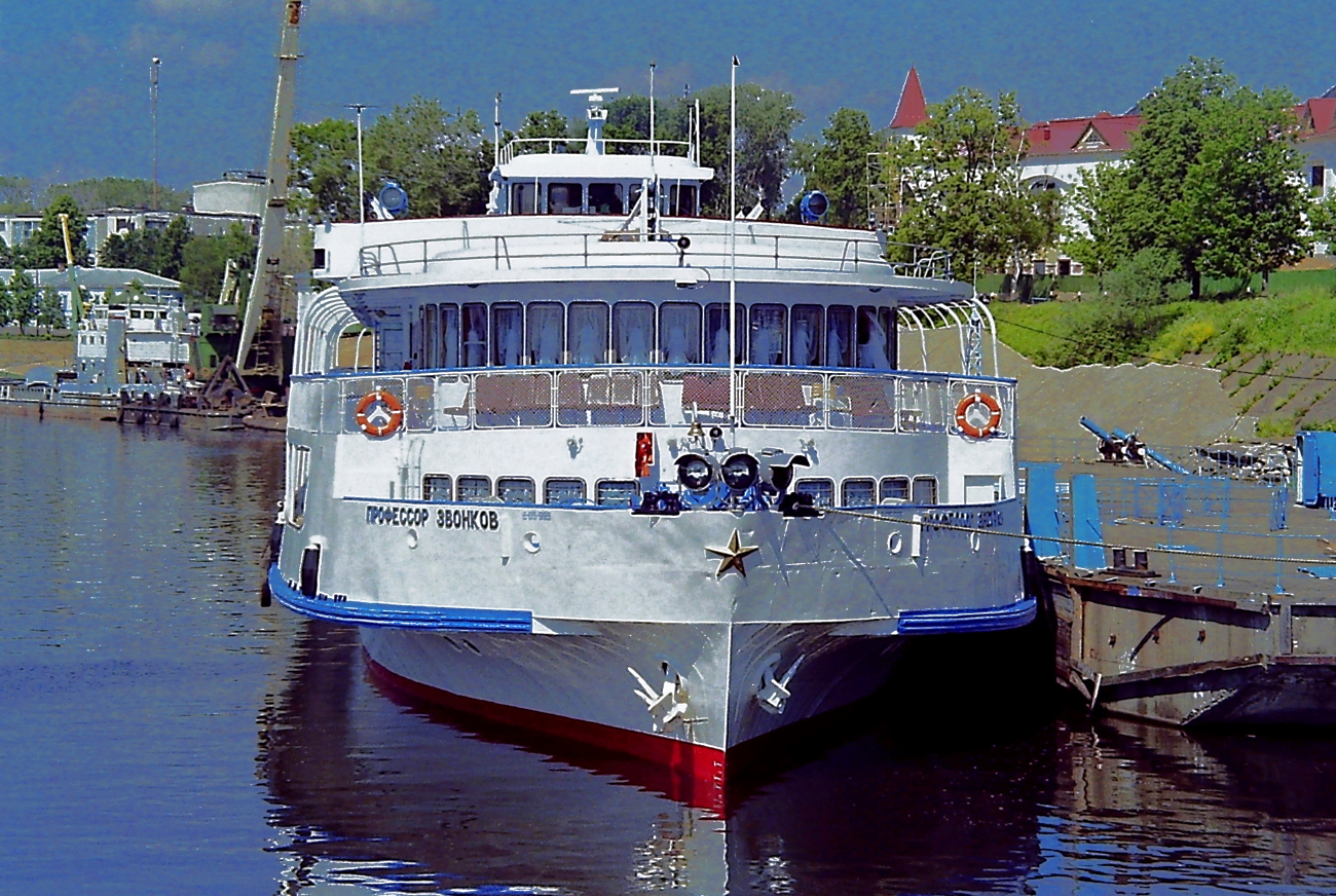 Профессор Звонков