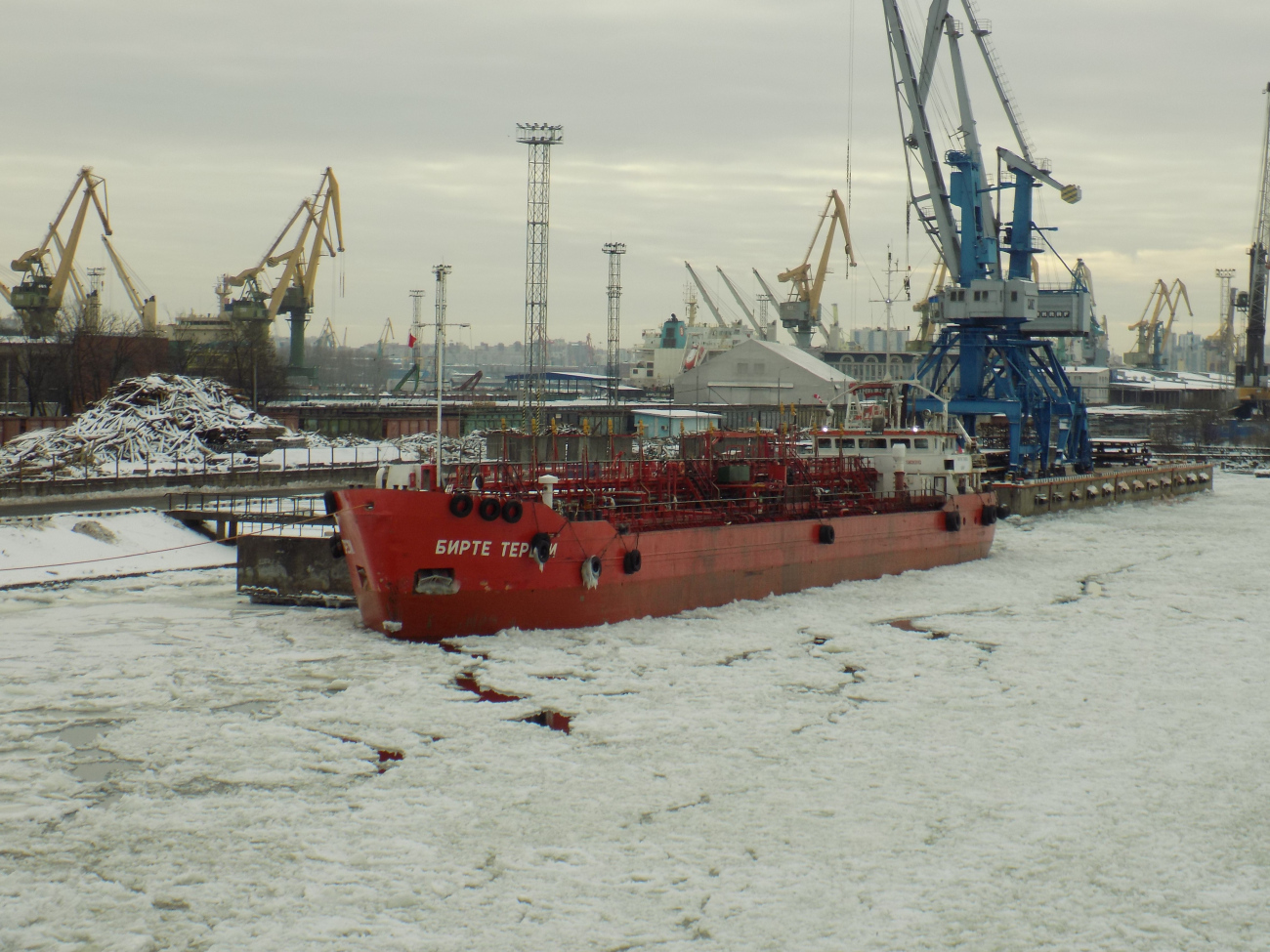 Бирте Терези