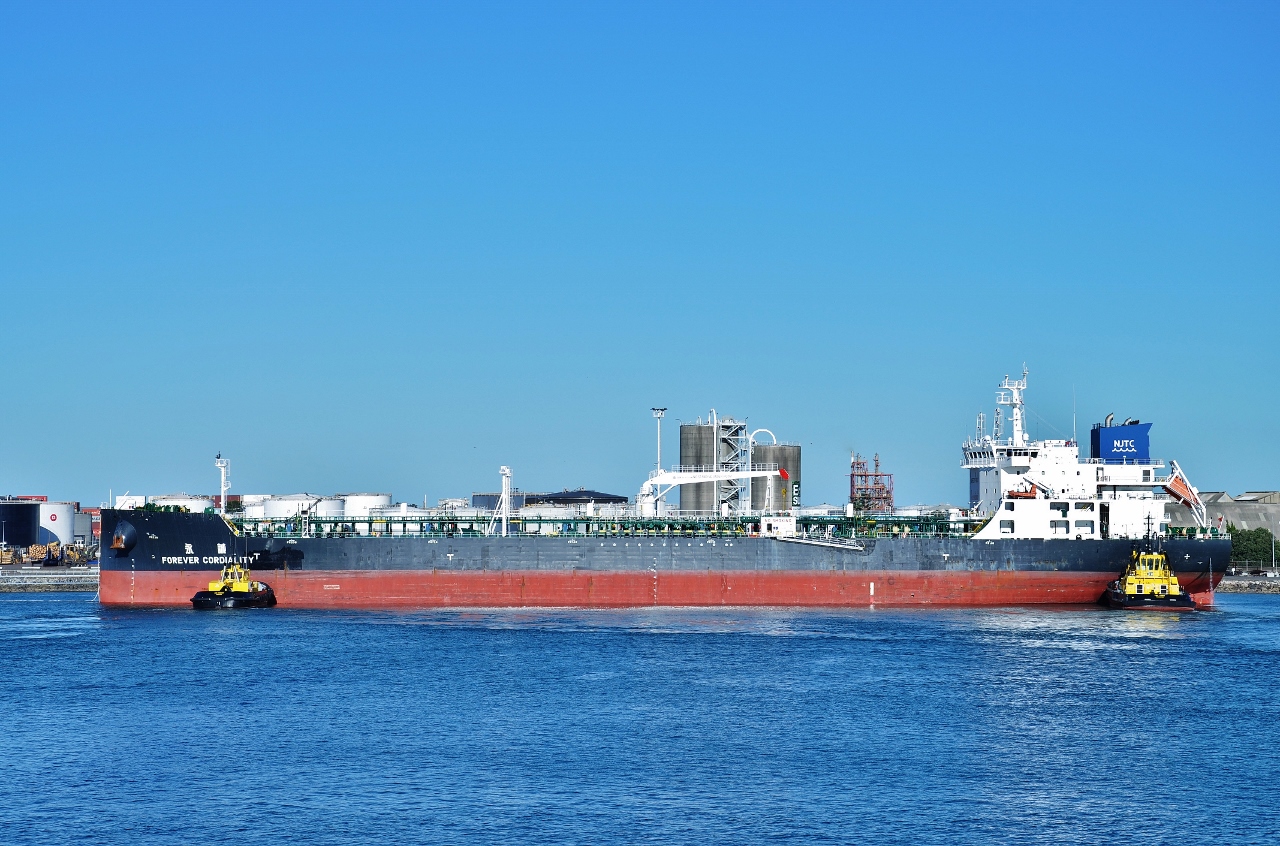 Forever Cordiality, Sir Robert, Tai Timu