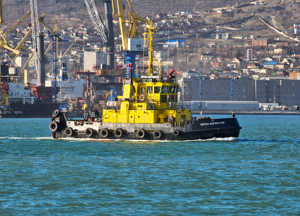 Тигран Мартиросян