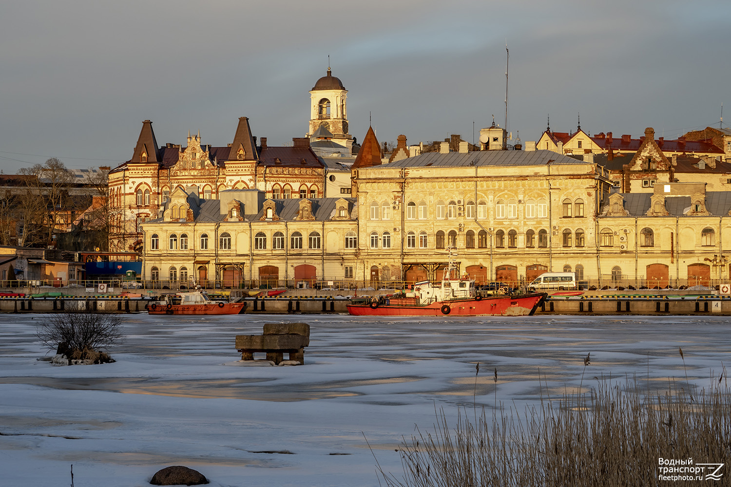 Лоцман, Дельфин