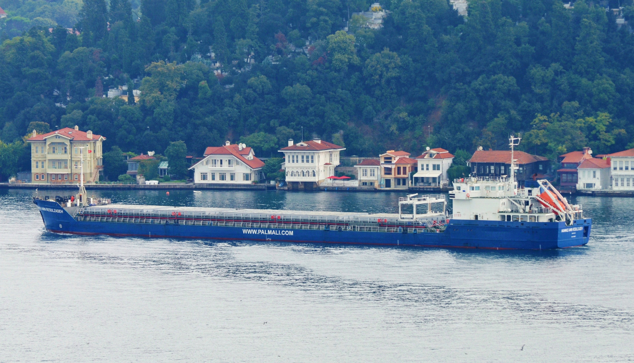 Mammad Amin Resulzadeh