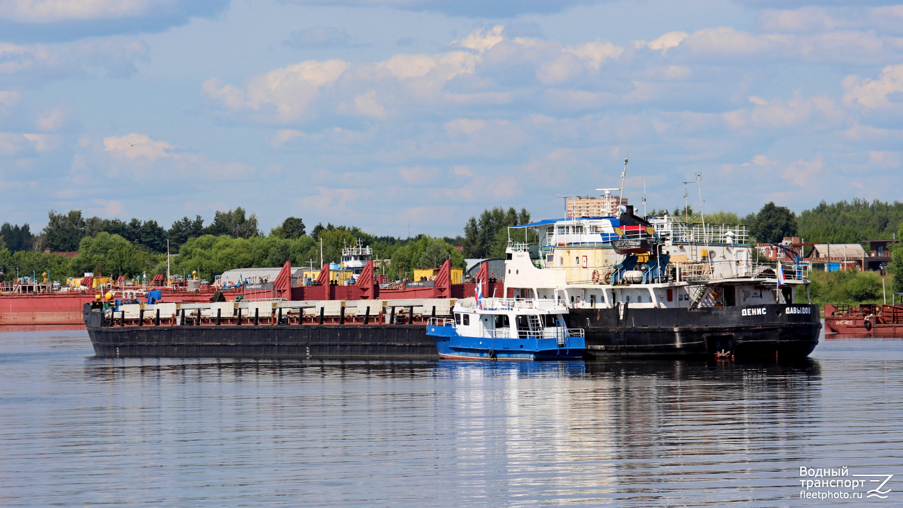 Денис Давыдов, Резвый