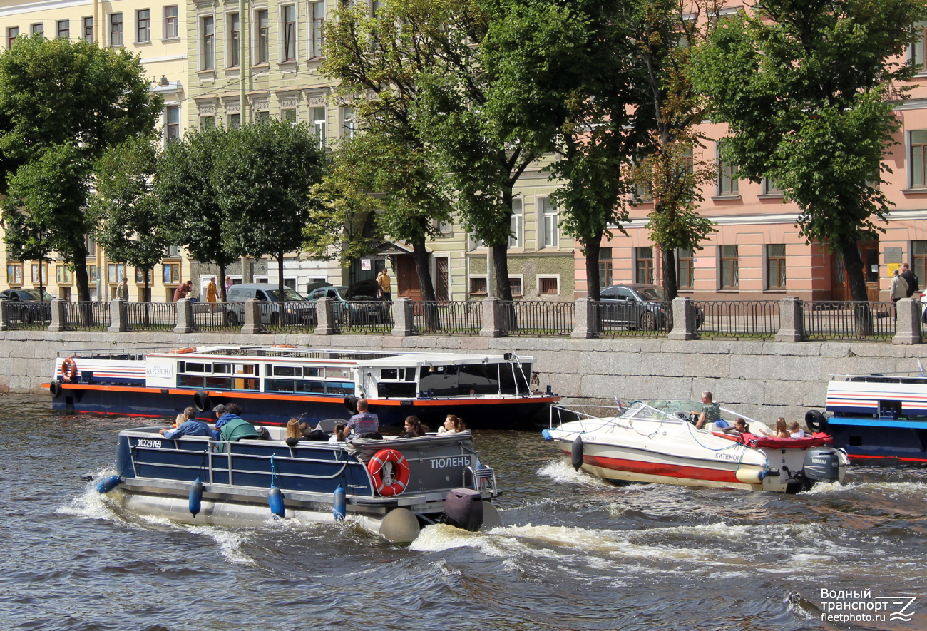 Тюлень, Китёнок, Барселона