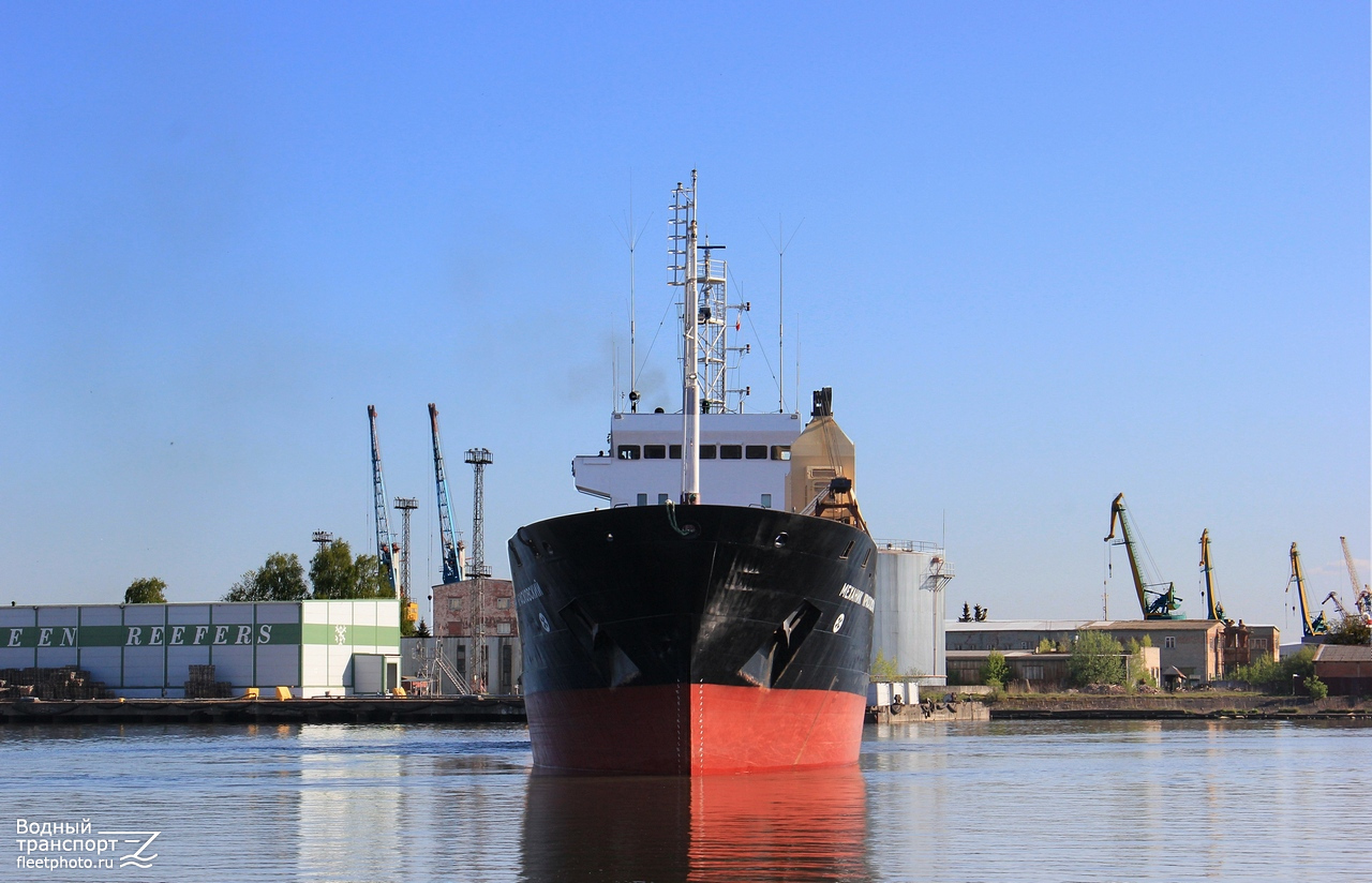 Механик Красковский