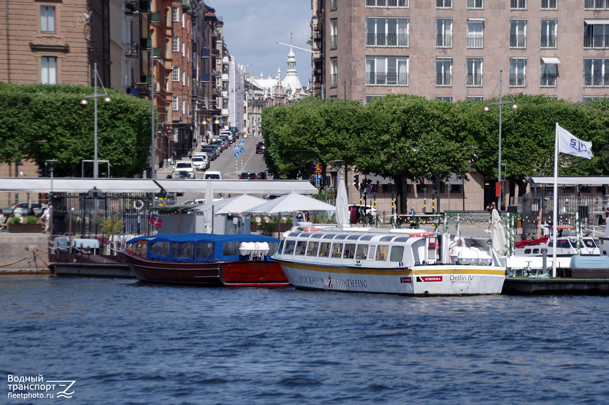 Stegeholm, Delfin IV