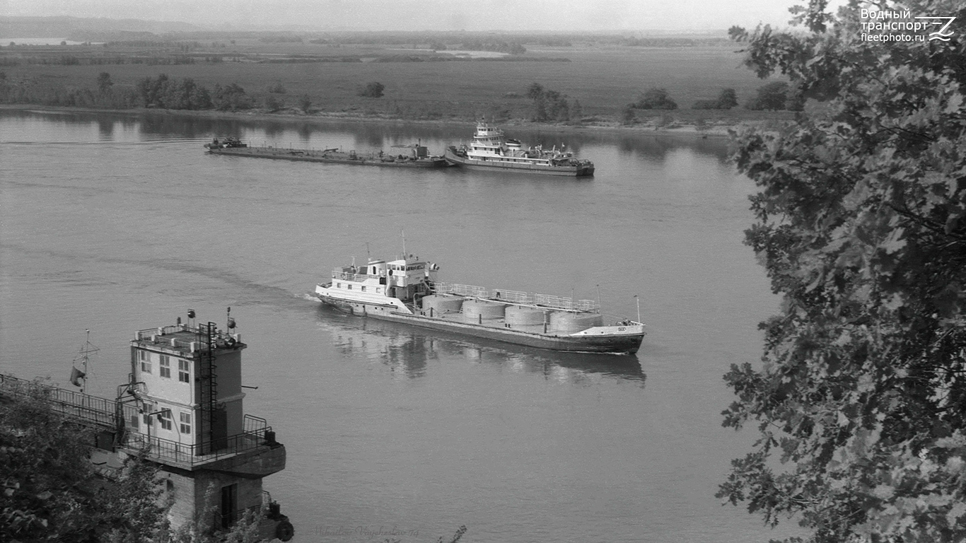 Бор, Дембица