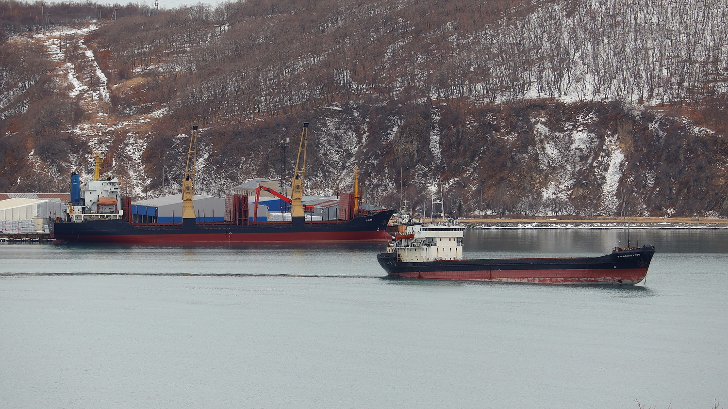 Дима, Василий Малов