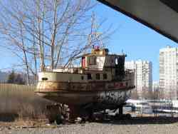 Оптимист (Маломерные суда, Санкт-Петербург)