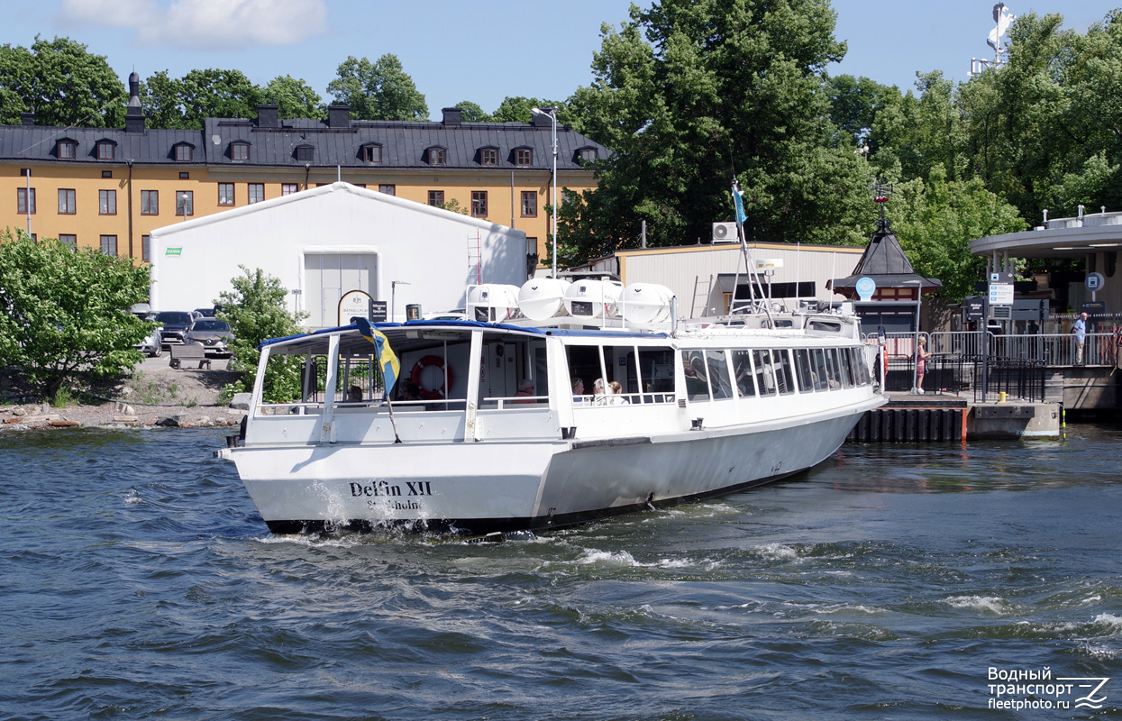 Delfin XII