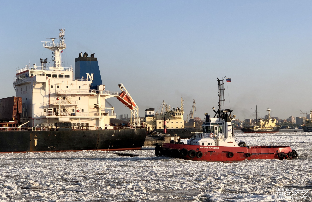 Евгений Кочешков