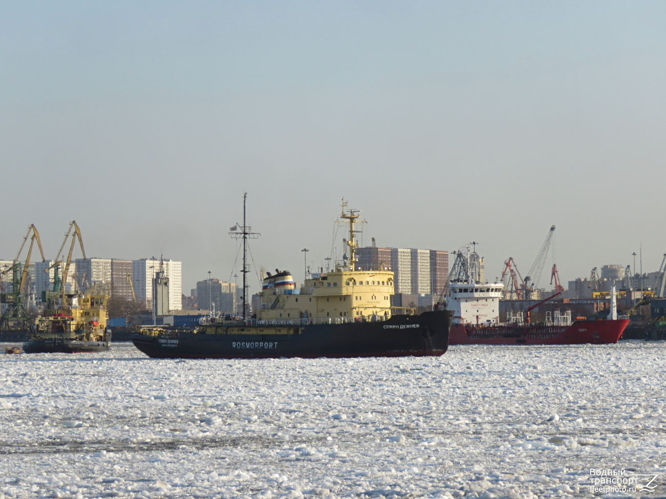 Семён Дежнёв