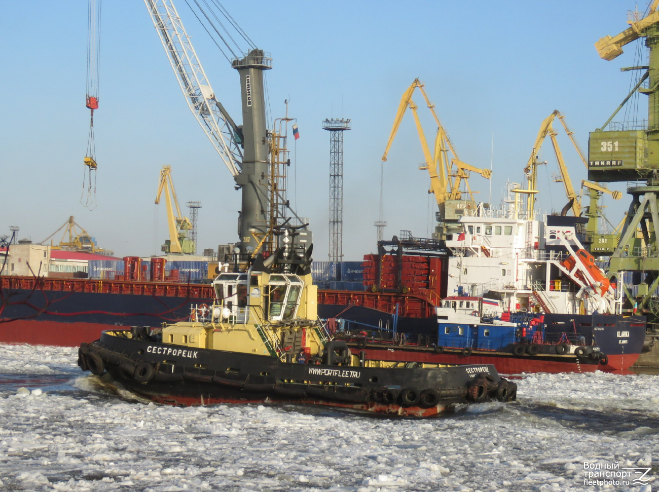 Сестрорецк