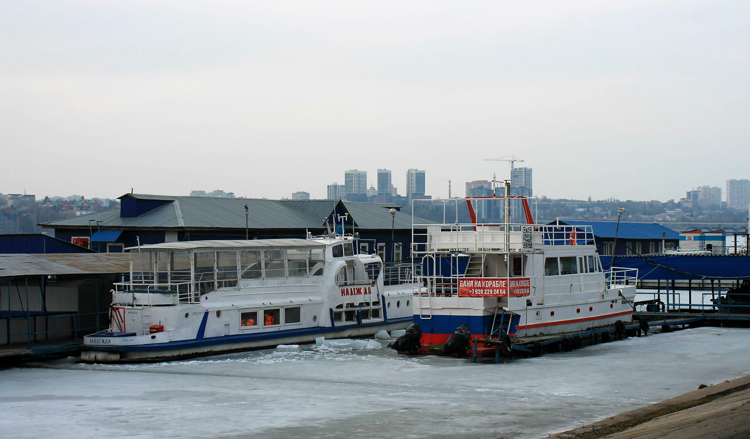 Надежда, Фёдор Толстой