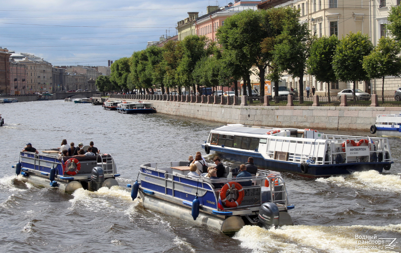 Белка, Стрелка, Антверпен