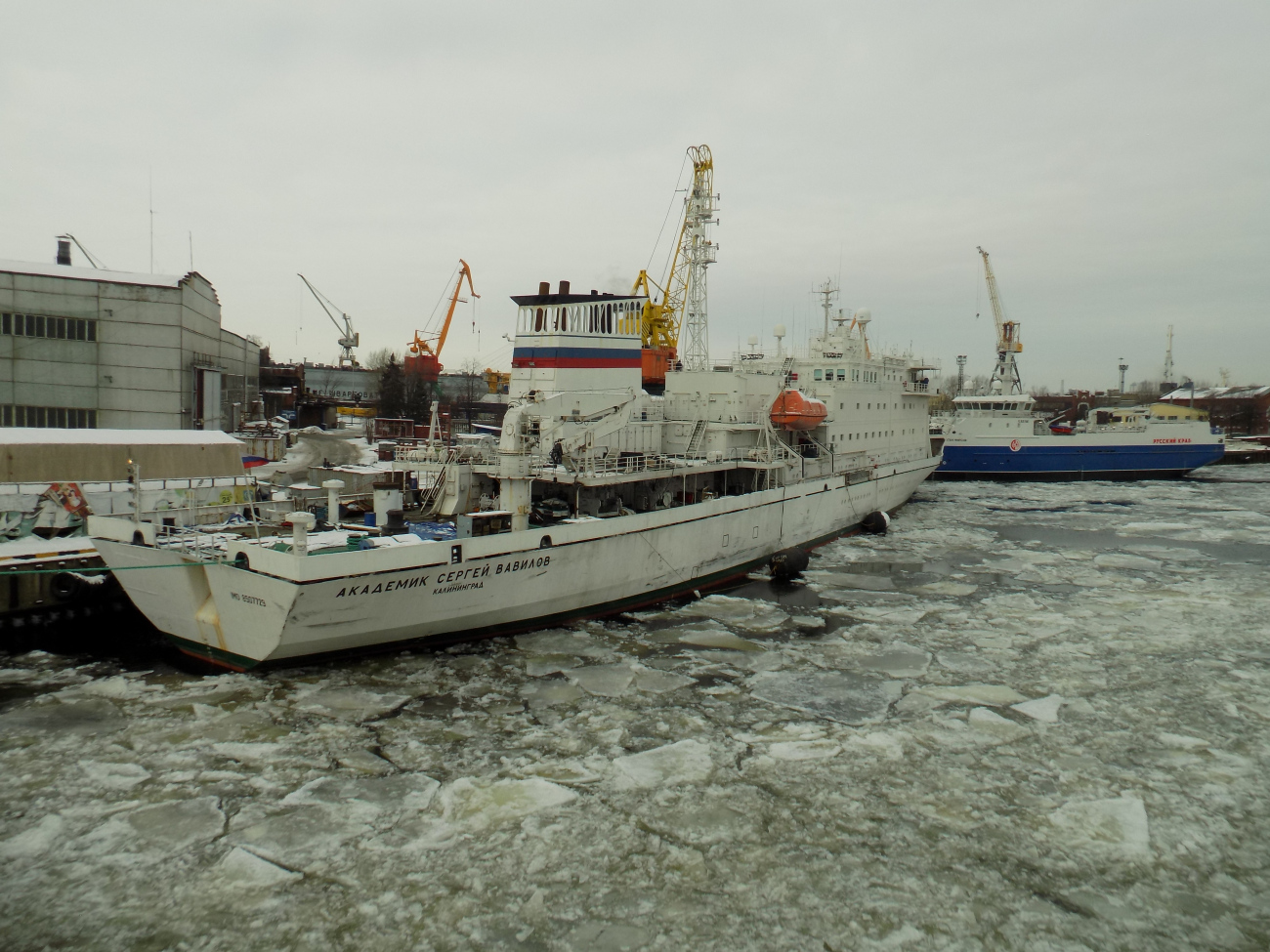 Академик Сергей Вавилов