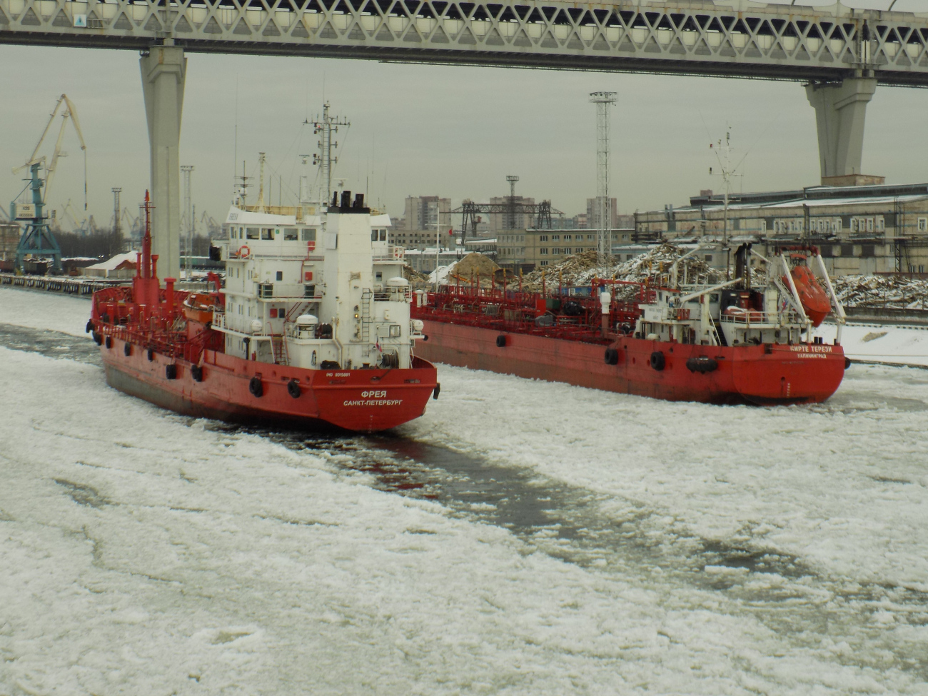 Фрея, Бирте Терези