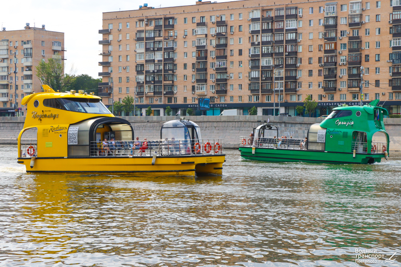 Орхидея, Подсолнух