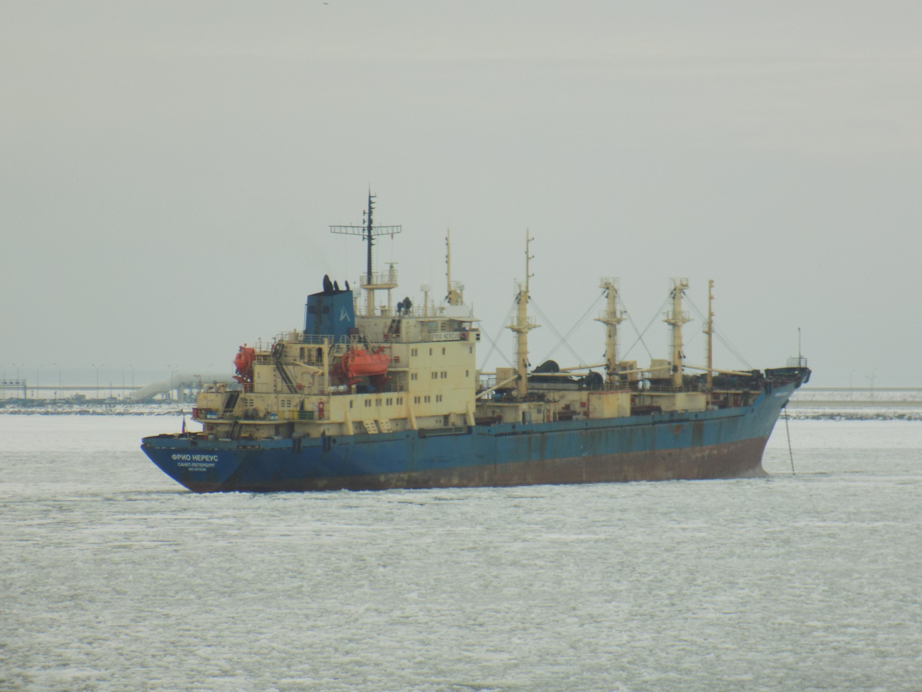 Фрио Нереус