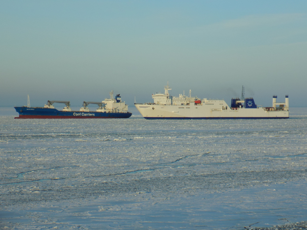 Baltic Purple, Антей