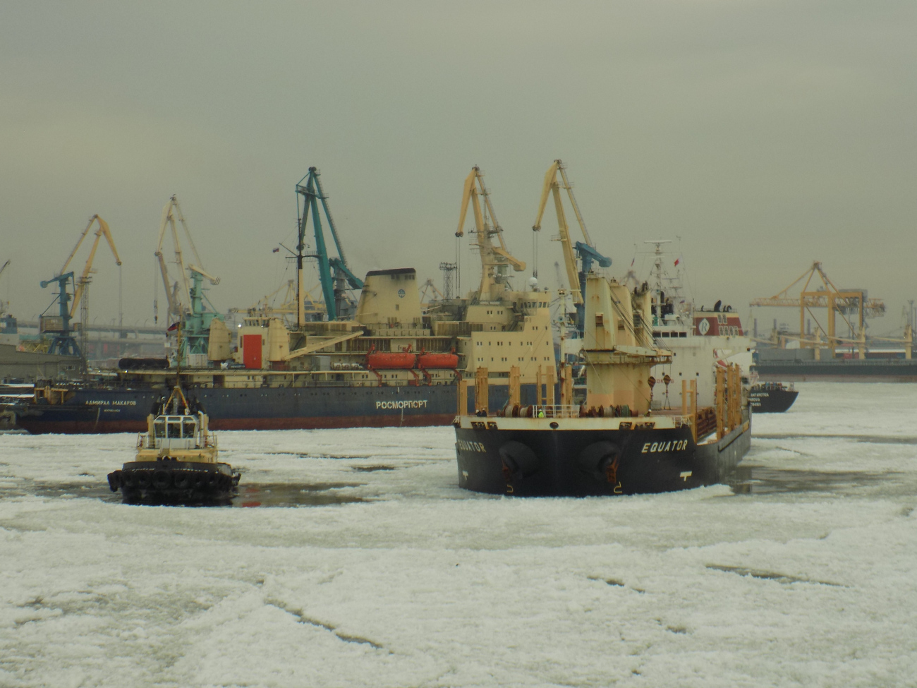 Сестрорецк, Equator, Адмирал Макаров