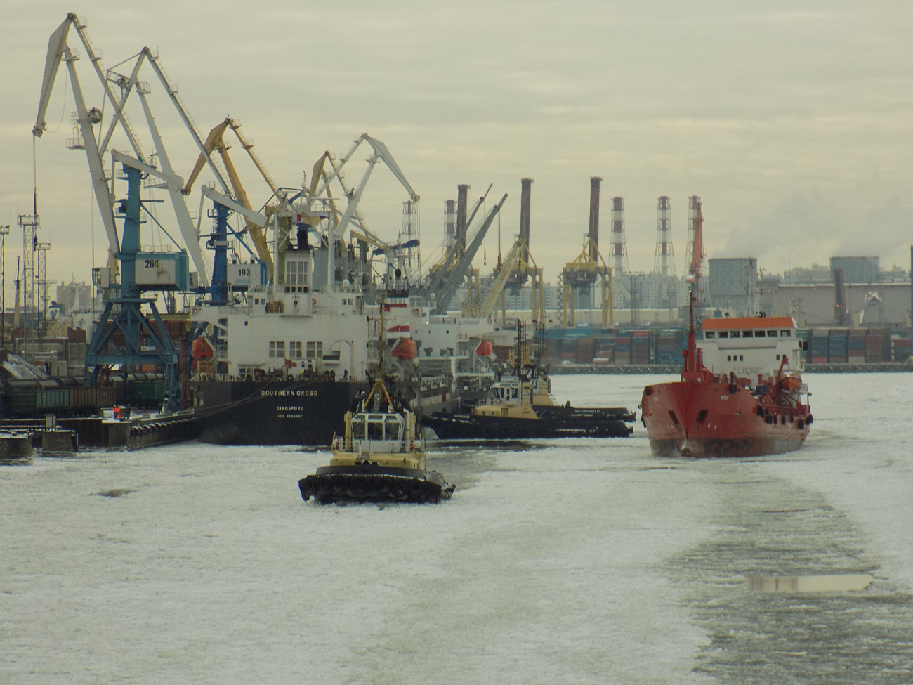 Сестрорецк, Southern Cross, Вихревой, Петергоф, Фрея, Panda